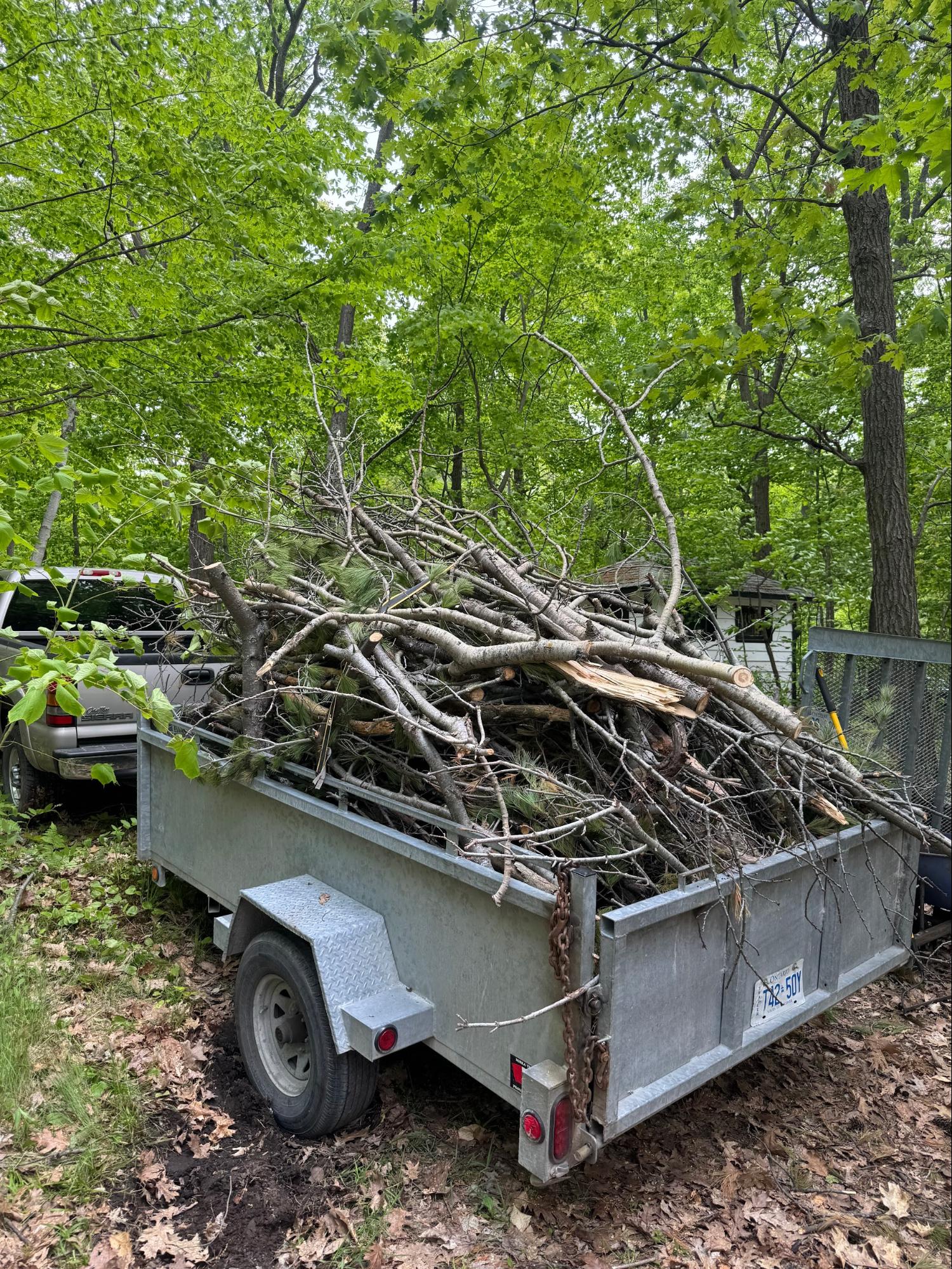 Brush removal and debris hauling