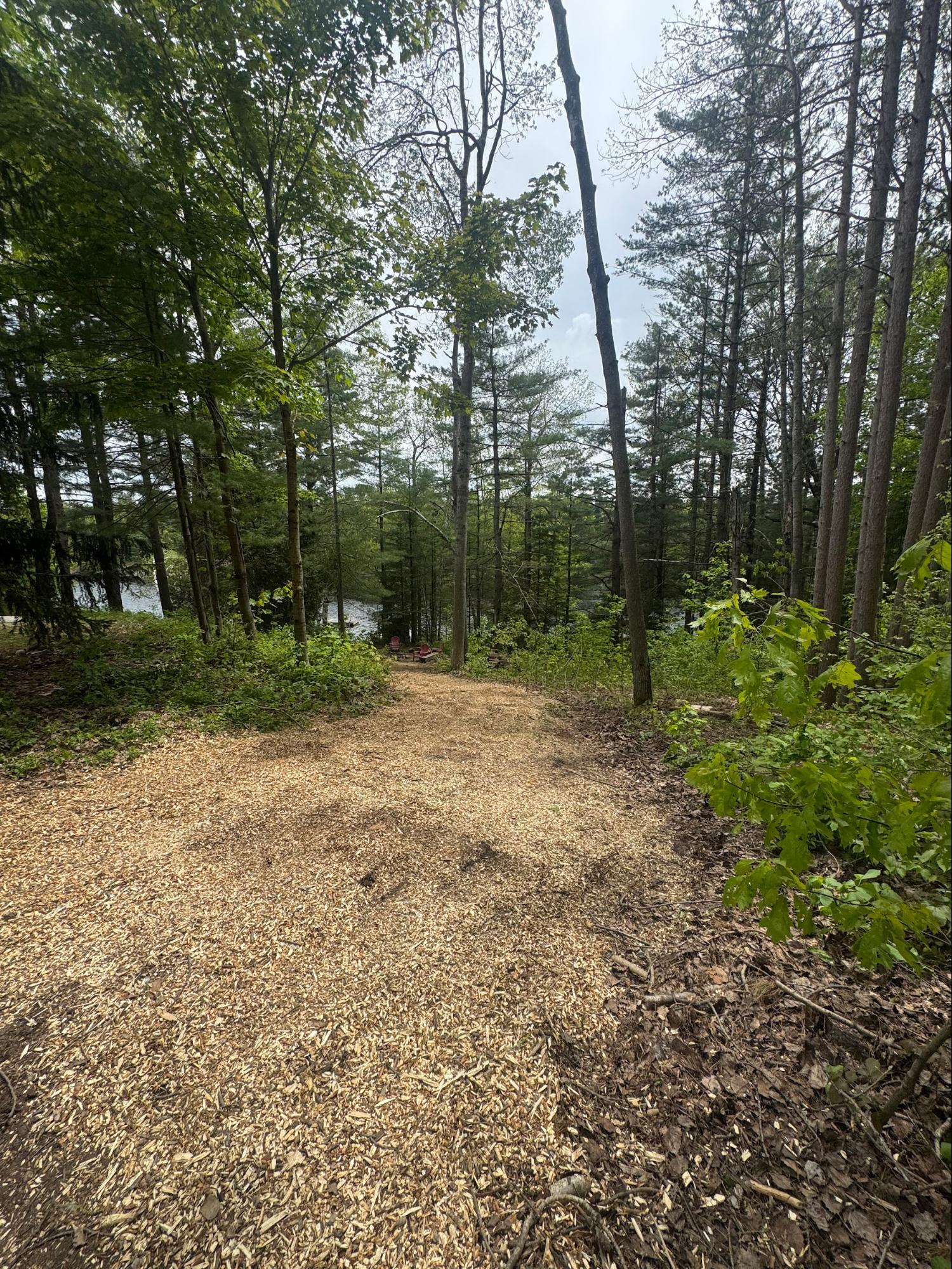 Wood chip path to lakefront