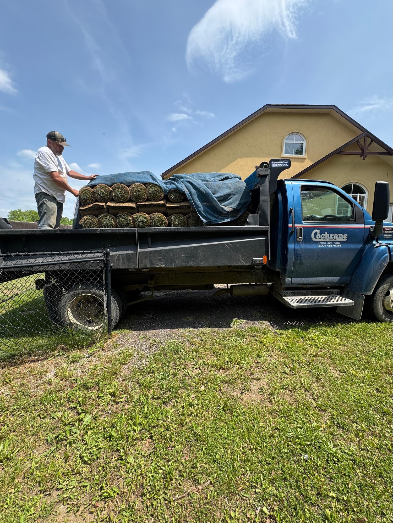 Sod delivery and installation