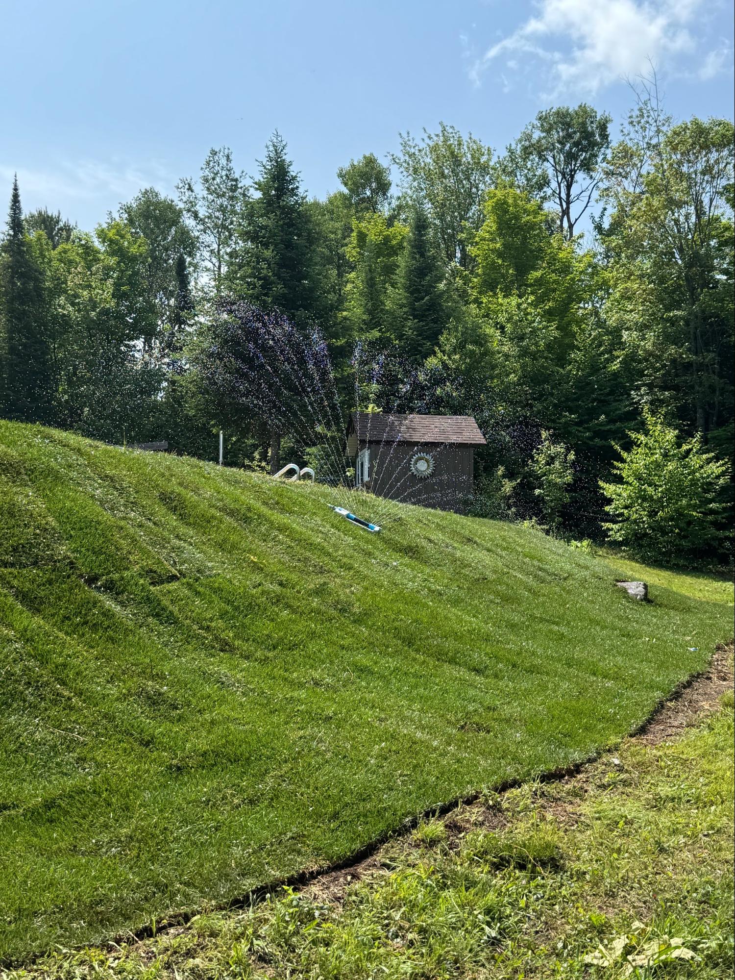 Sod installation on sloped hillside